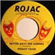 Wesley Paige - Better Days Are Coming